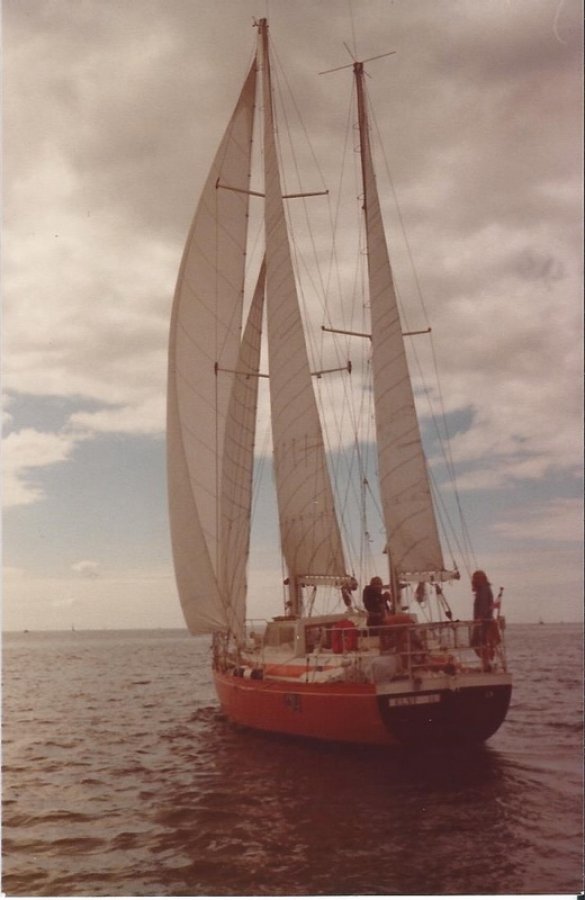 ACNA NIVIDIC - 25