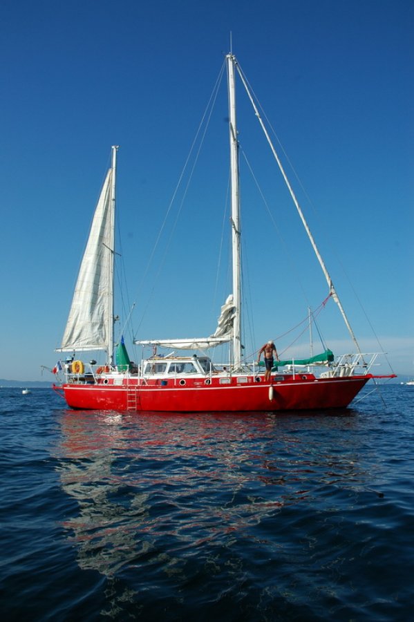 ACNA NIVIDIC - 49