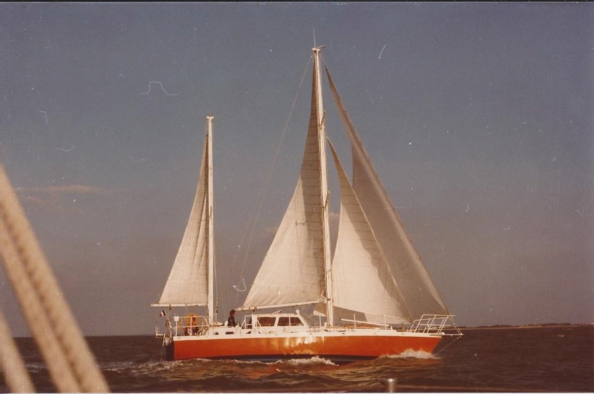 ACNA NIVIDIC - 50