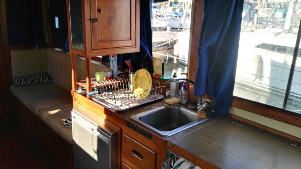 ISLAND GYPSY 30 - 36