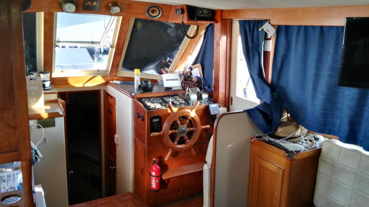 ISLAND GYPSY 30 - 38