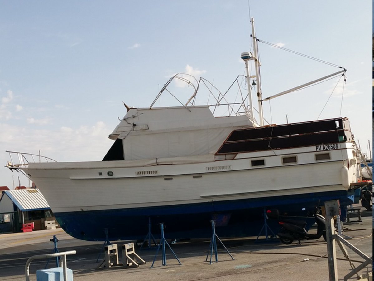 ISLAND GYPSY 44 - 5