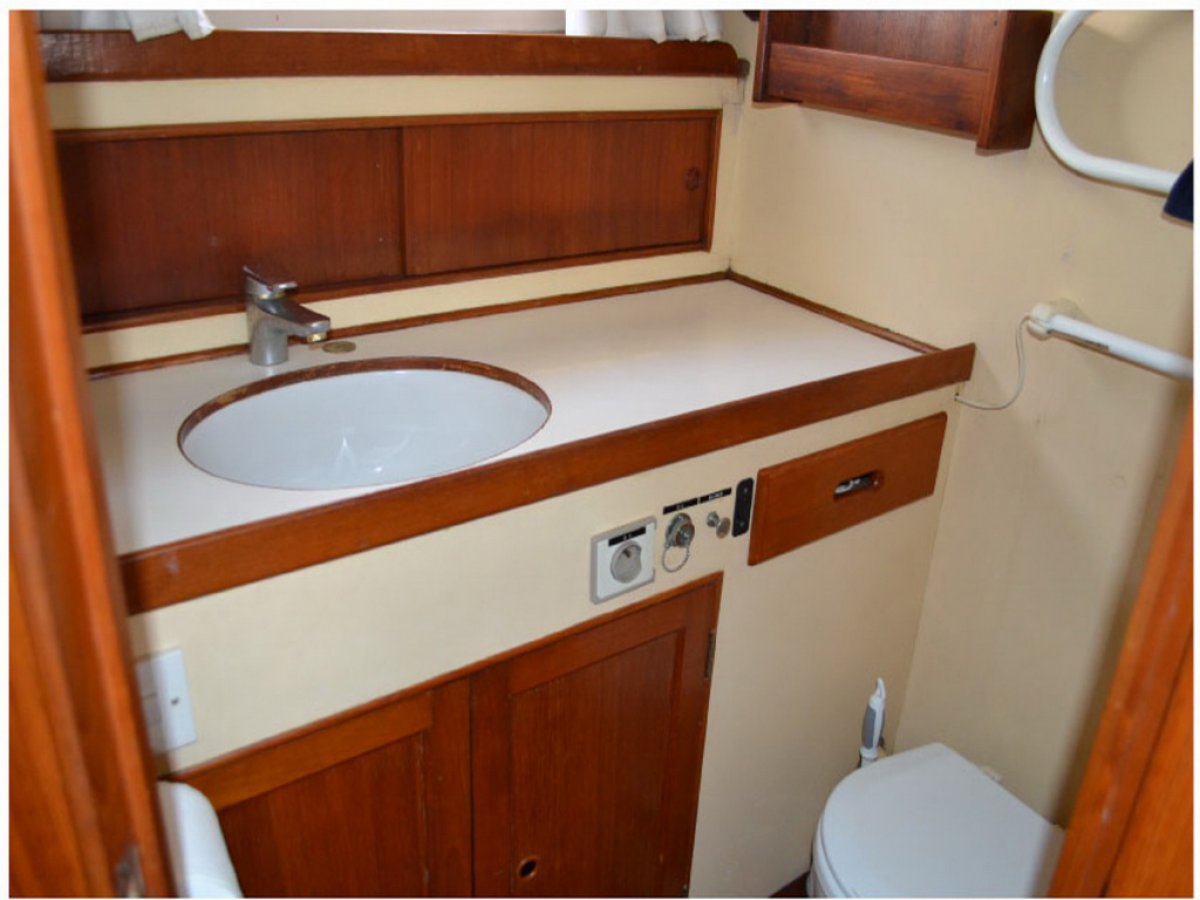 ISLAND GYPSY 44 - 12