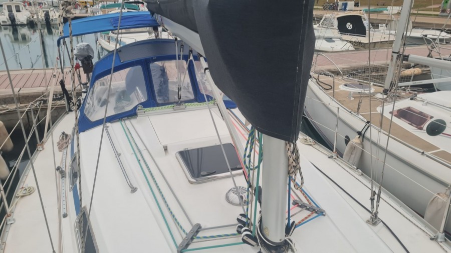 BAVARIA 34 - 4